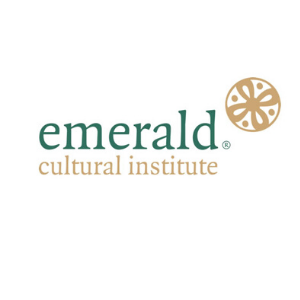 the-emerald-cultural-institute-dublin-dil-okulu