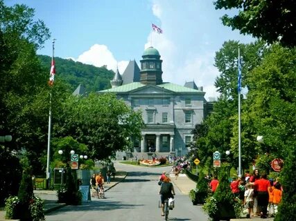 kanada-montreal-universitesi-basvuru